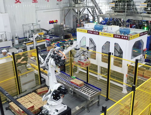 鹽津鋪?zhàn)佣麻L(zhǎng)張學(xué)武 以匠心與遠(yuǎn)見(jiàn)，鑄就中國(guó)卓越食品制造企業(yè)